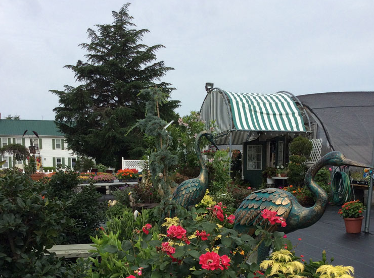 An Eastridge Garden image