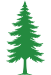 evergreen tree silhouette 