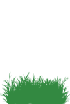 Green grass 