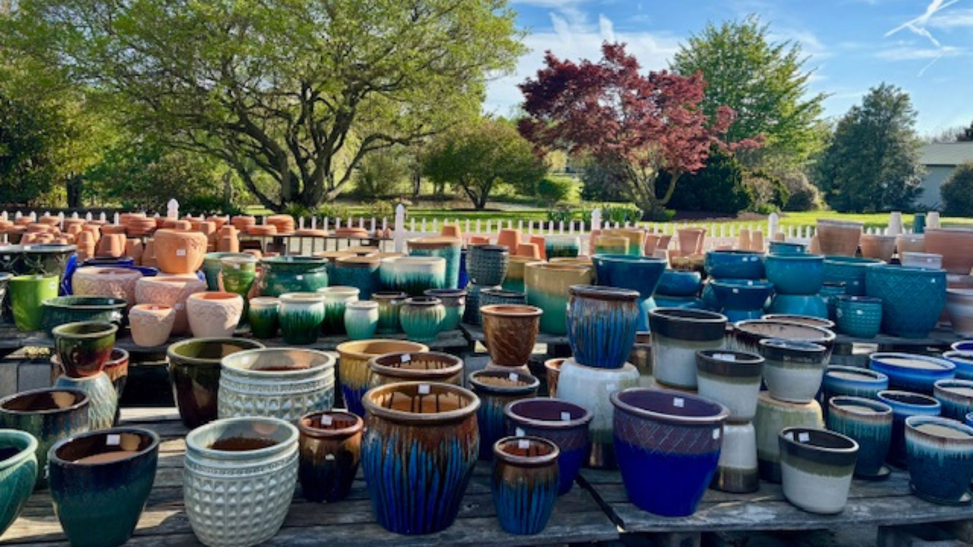 Rows of colorful ceramic pots and planters displayed outdoors in a garden.