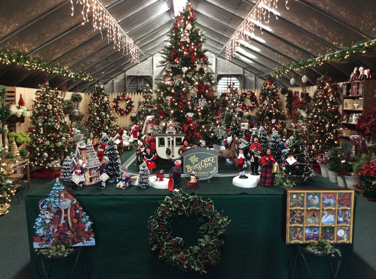 Christmas Shop | Decorations | Centreville, MD