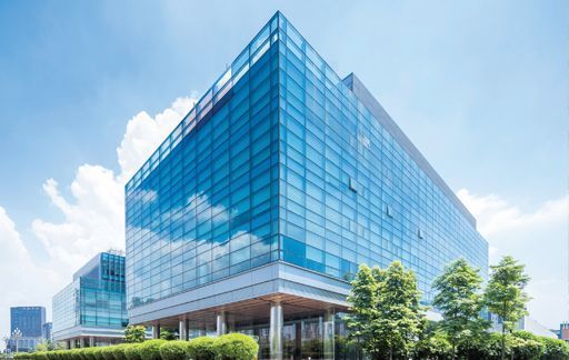 Commercial window tint