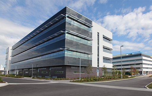 Commercial window tint