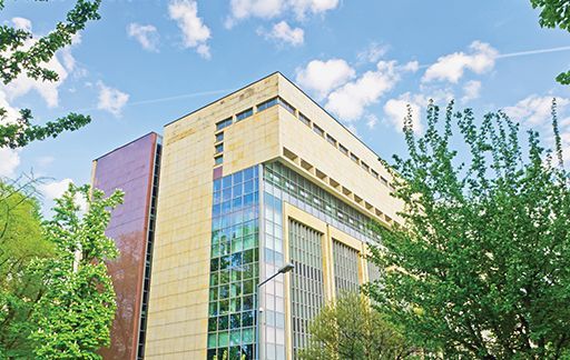 Commercial window tint