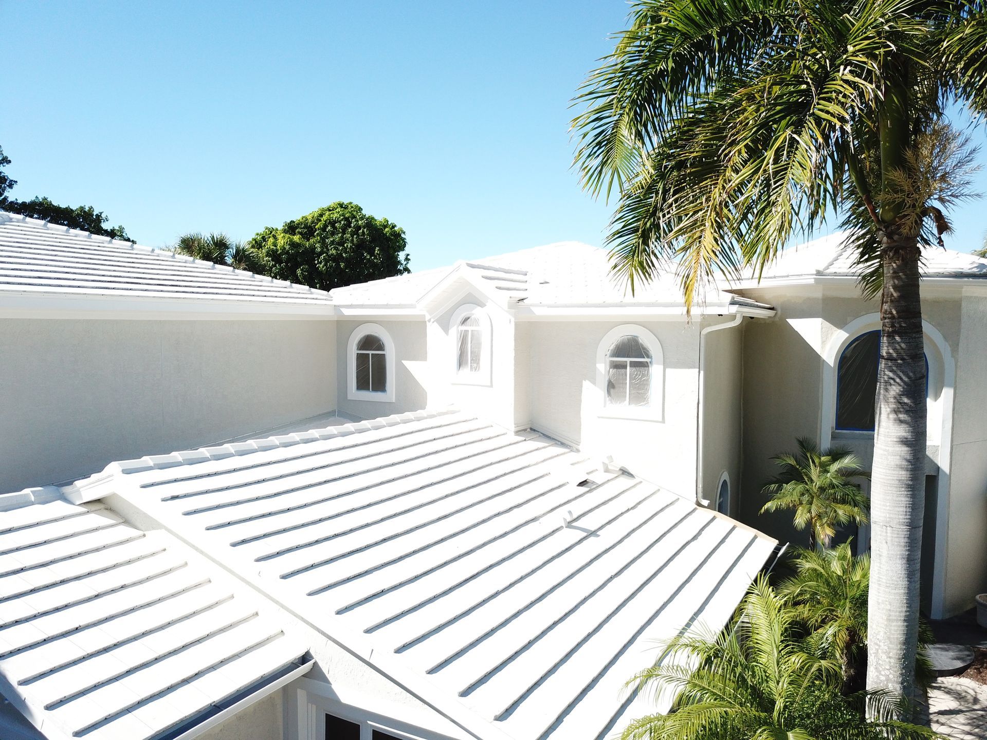 A white house with a palm tree in front of it