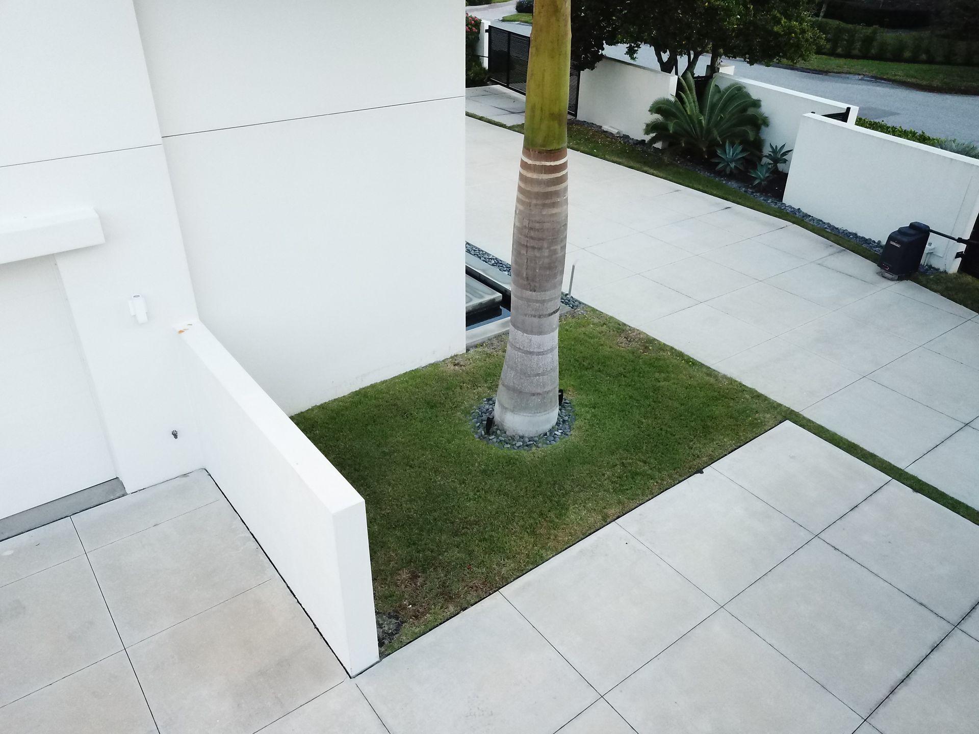 An aerial view of a house with a palm tree in front of it