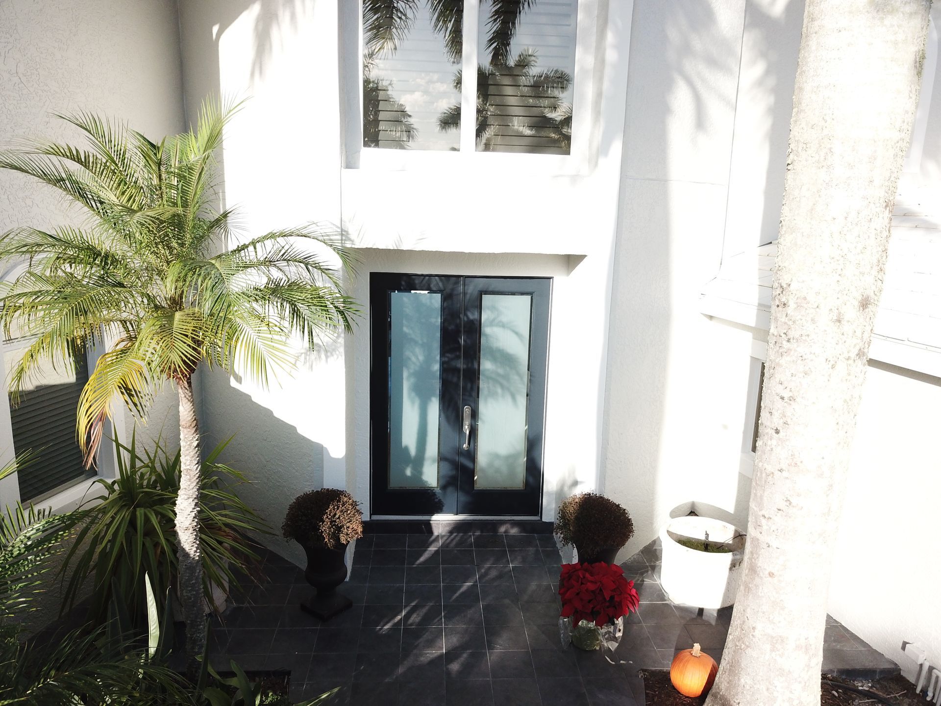 A white house with a black door and palm trees