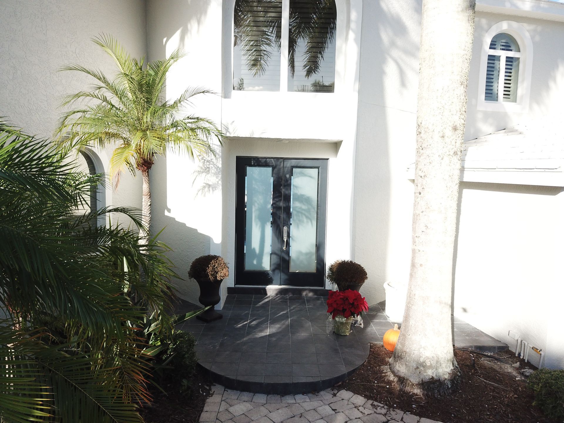 A white house with a black door and palm trees