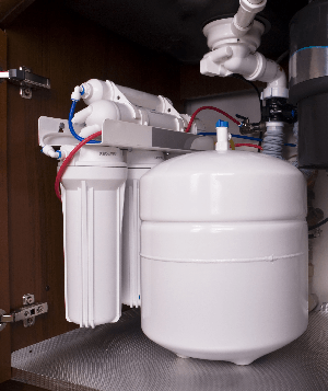 Water filter and pump