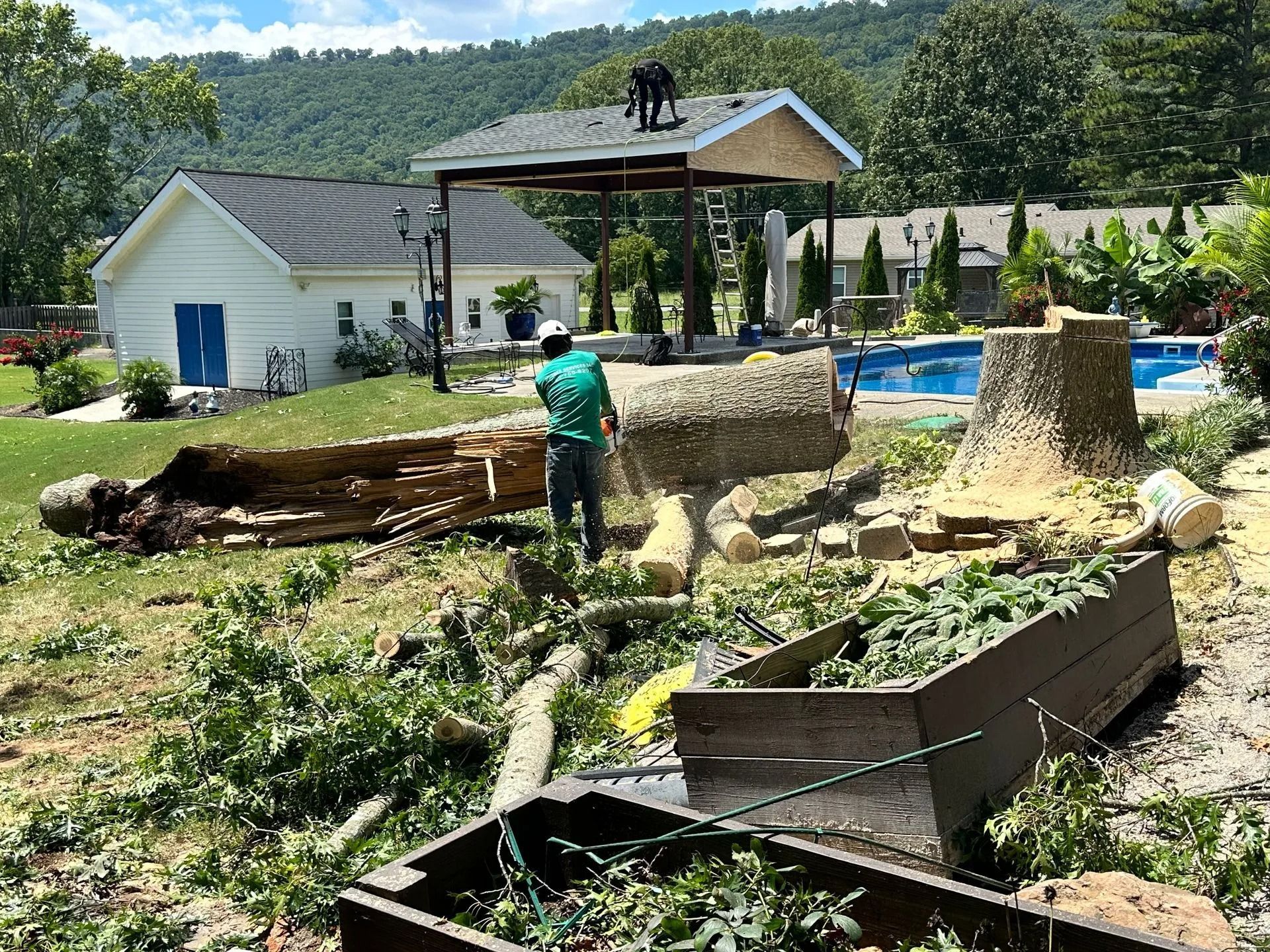 A worker cuts sections of a large fallen tree near a backyard swimming pool and open-sided pavilion.