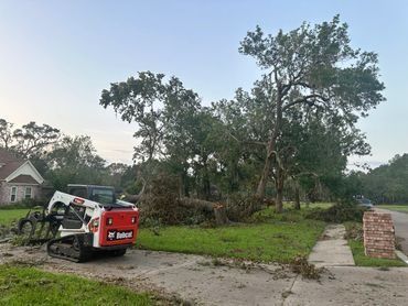 A Bobcat skid-steer loader sits on a residential driveway next to a large tree that has fallen on a lawn.