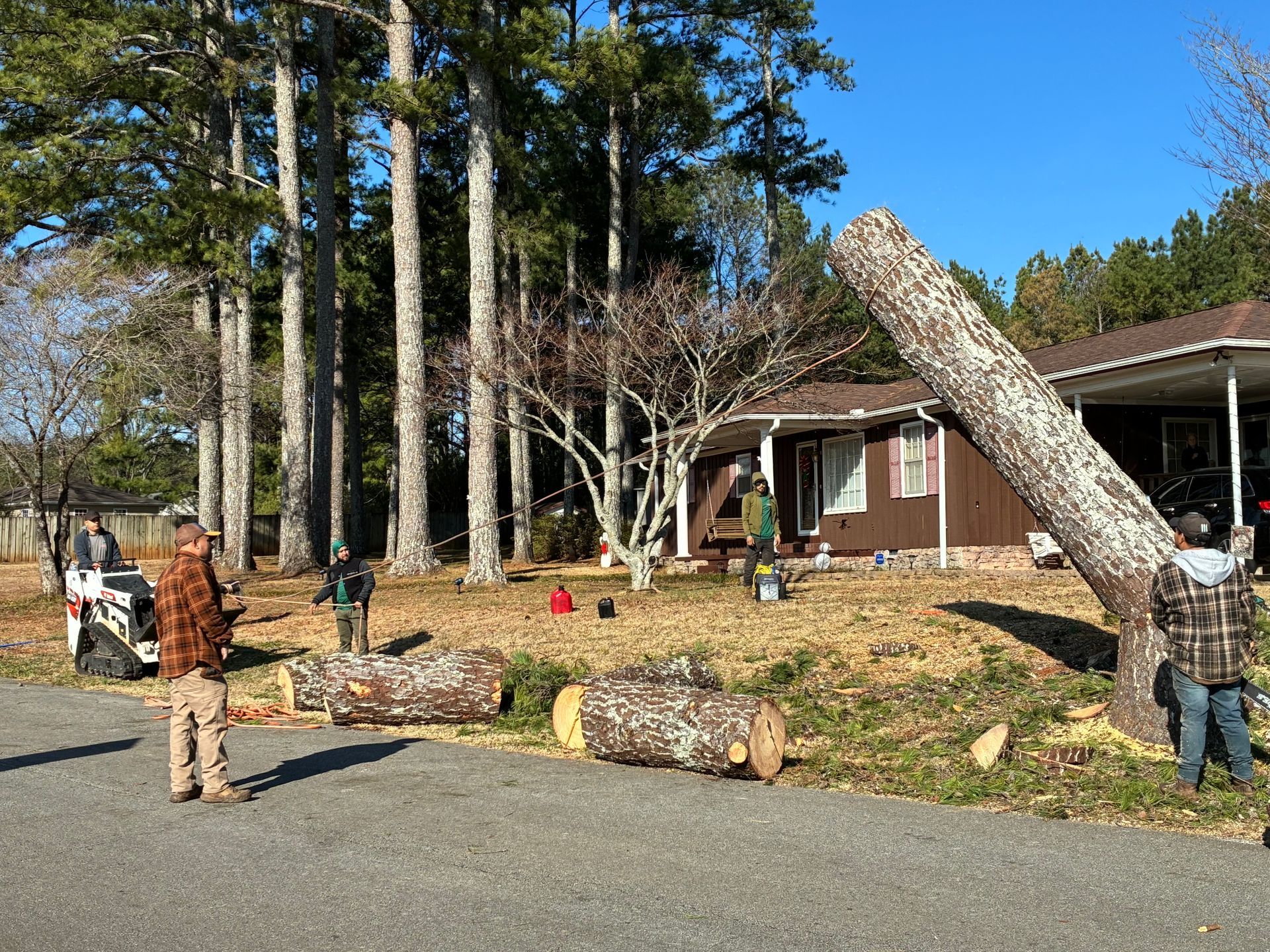 A crew manages a tree removal project with cut logs on the ground near a residential home and pine trees.