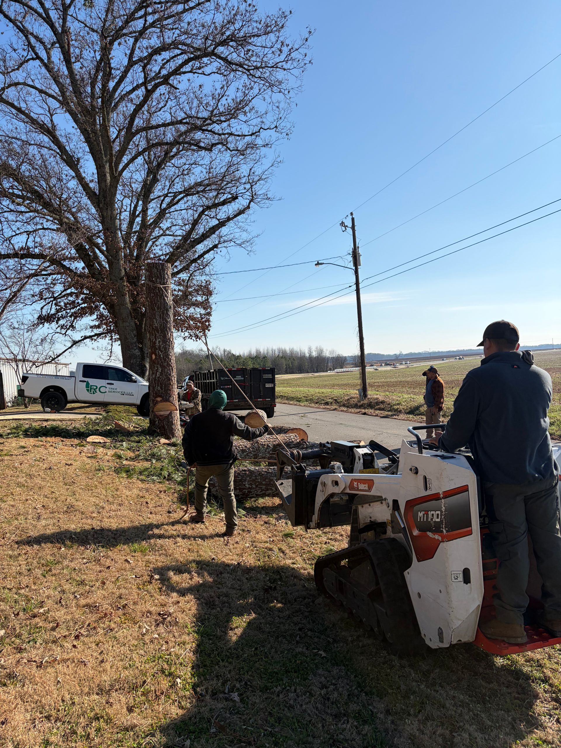 Workers operate a skid-steer loader to clear brush and limbs near a large tree and a parked white truck on a sunny day.