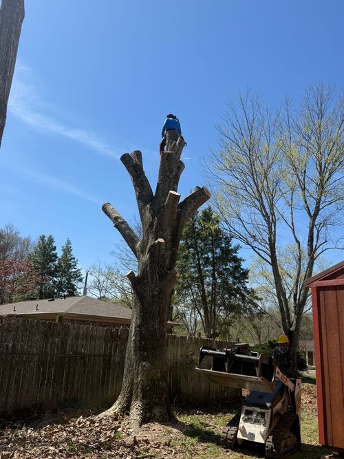 RC Tree Services Pro, LLC