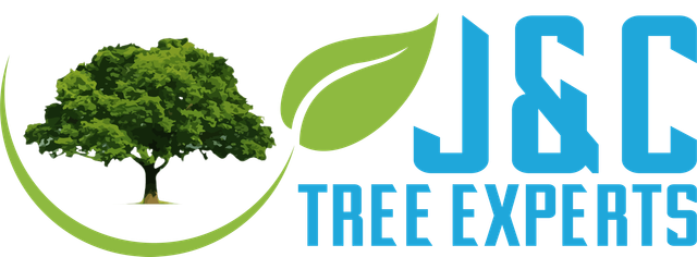 Tree Fertilizing Company Douglasville