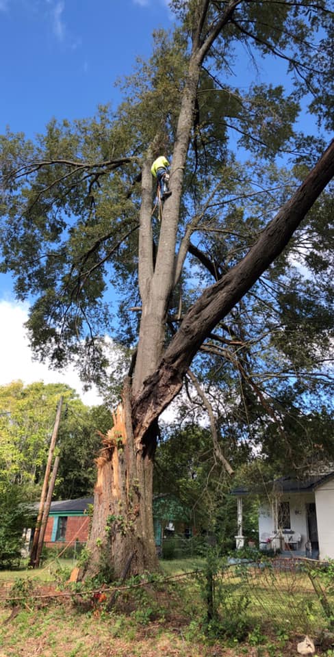 Storm damage cleanup
