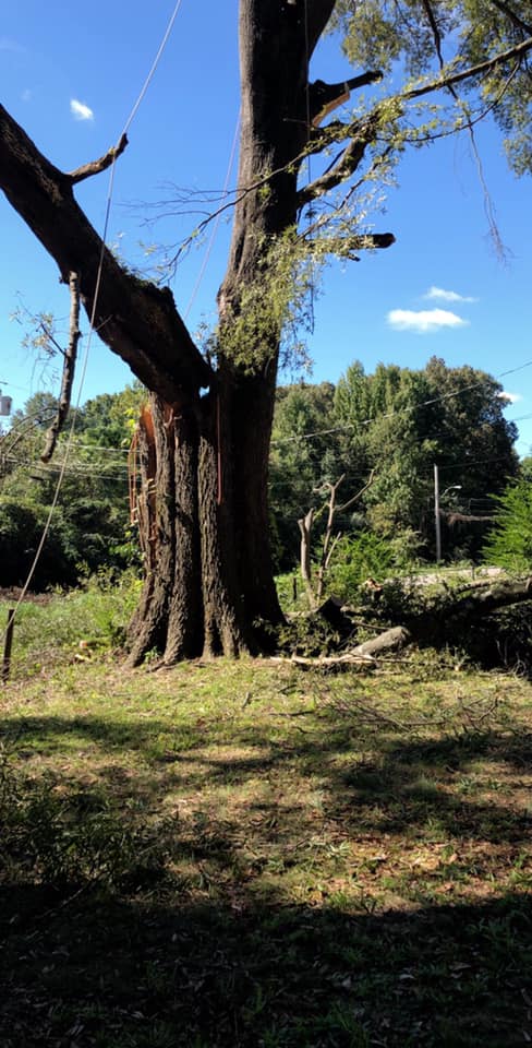 Storm damage cleanup