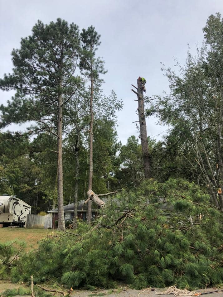 Storm damage cleanup