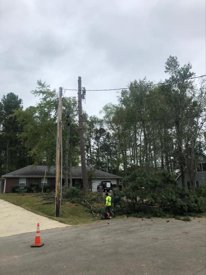 Storm damage cleanup