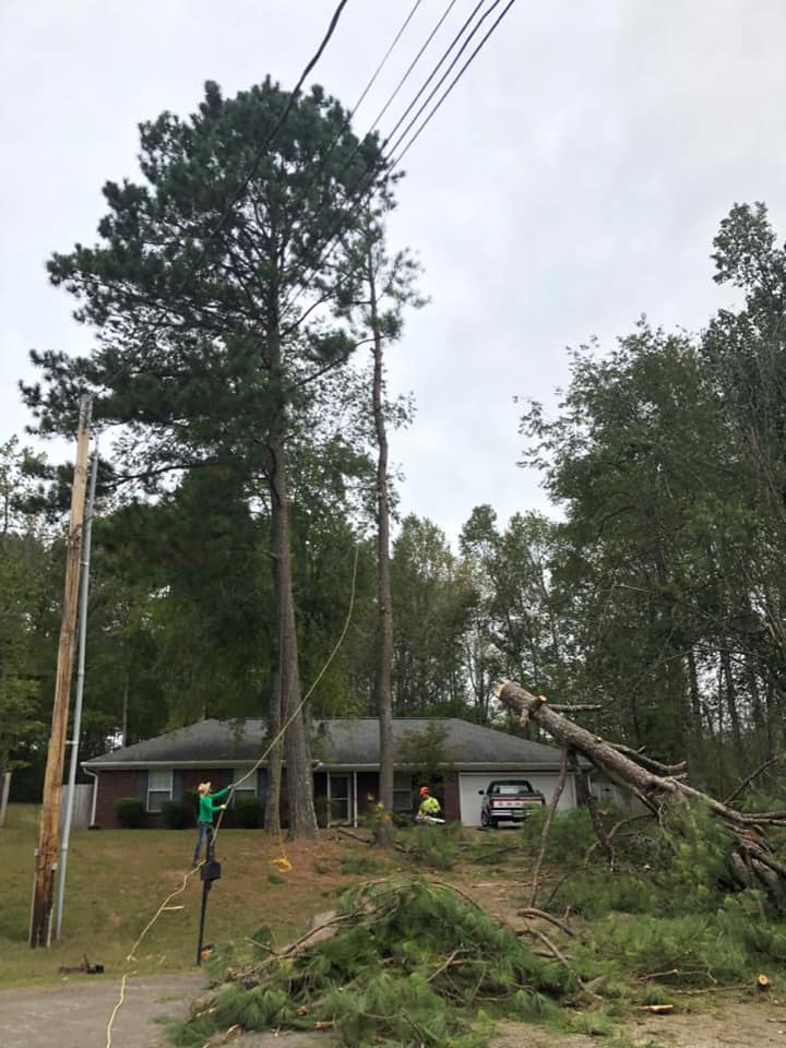 Storm damage cleanup