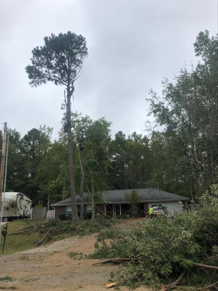 Storm damage cleanup