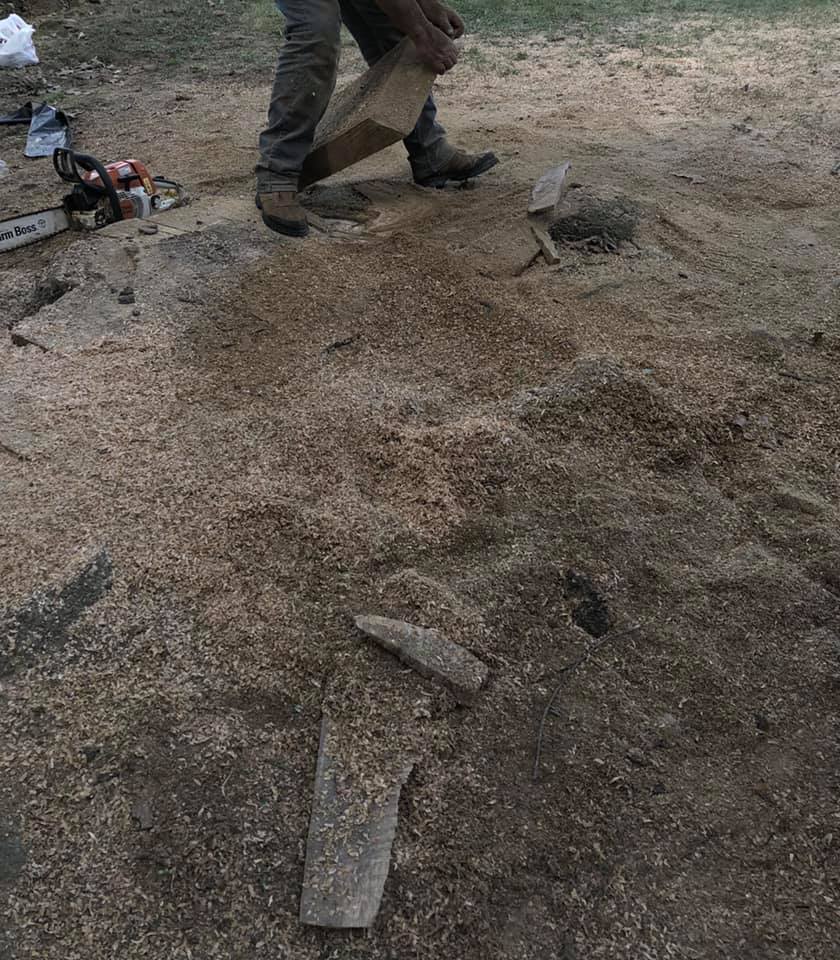 Stump grinding services