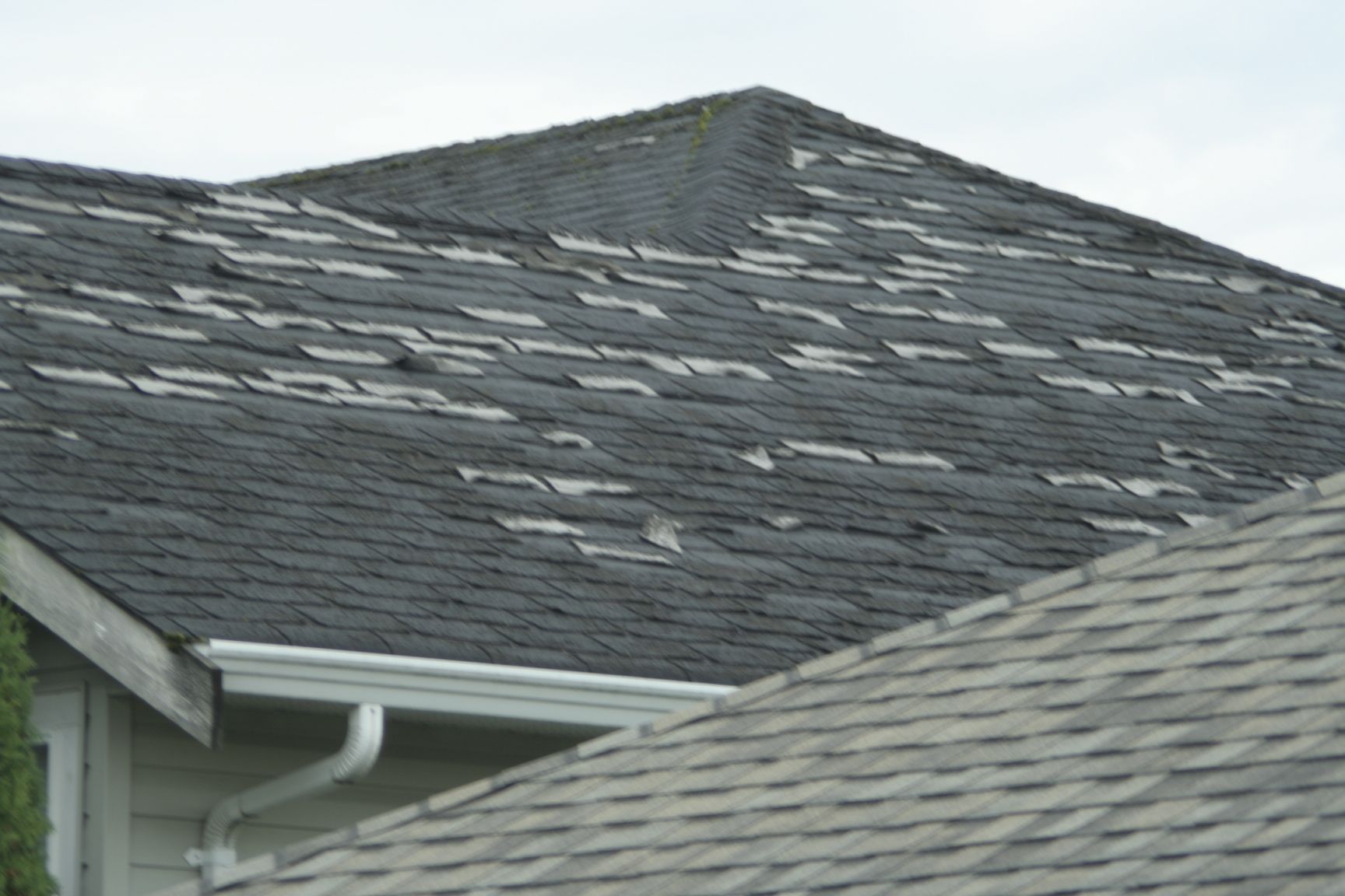 Damaged asphalt shingle roof, with missing and curling shingles, visible white gutter.