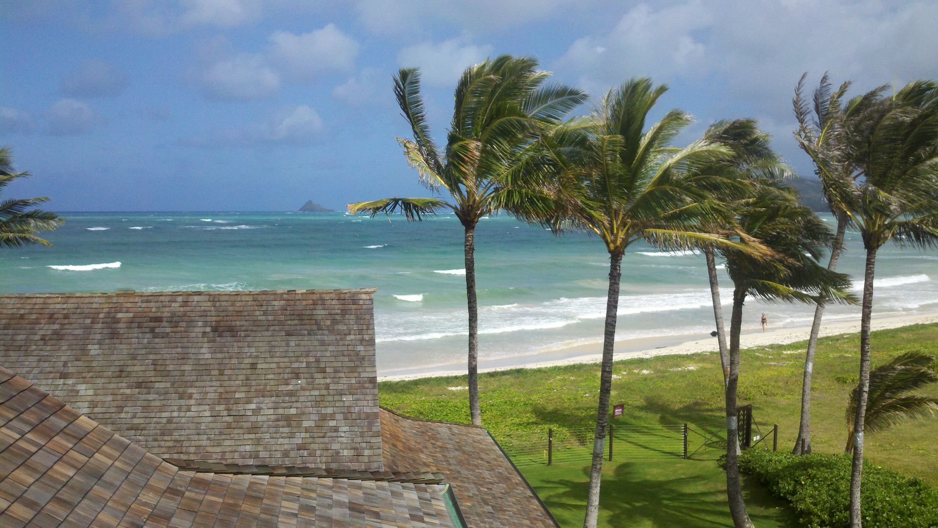 Beach scene with palm trees blowing in the wind, a sandy shore, and turquoise water.