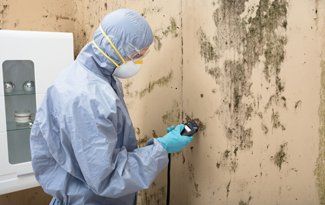 Learn More About Mold Remediation Mold remediation