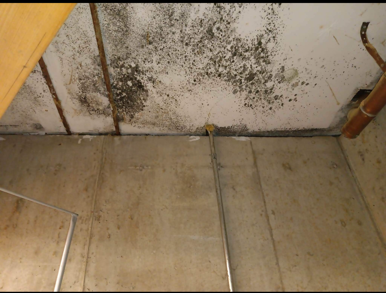 A ceiling with a lot of black mold on it