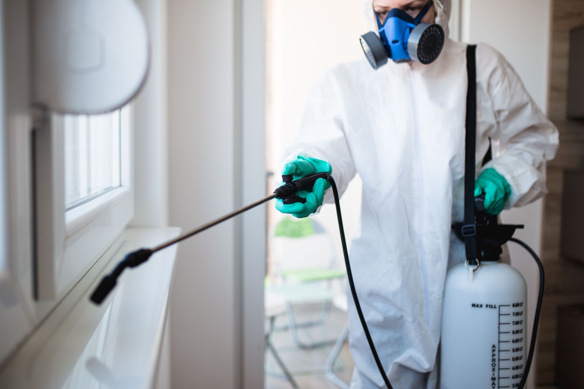 local pest exterminators