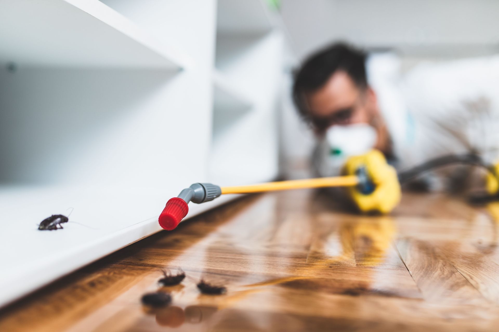 A person in protective gear uses a long, yellow nozzle to spray pesticide near cockroaches on a wooden floor.