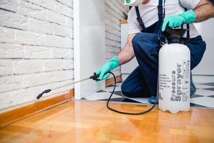 A person wearing gloves and work gear uses a pressure sprayer to apply liquid along a white brick wall and wooden floor.