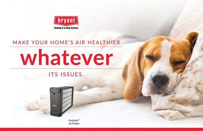 A dog is laying on a bed next to a bryant air purifier.