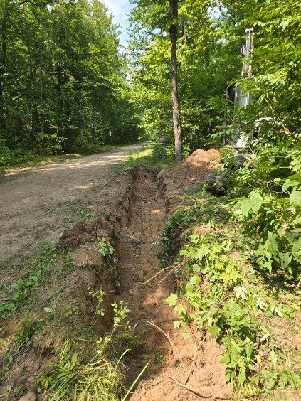 Rutted dirt road beside a deep erosion trench in a green wooded area.