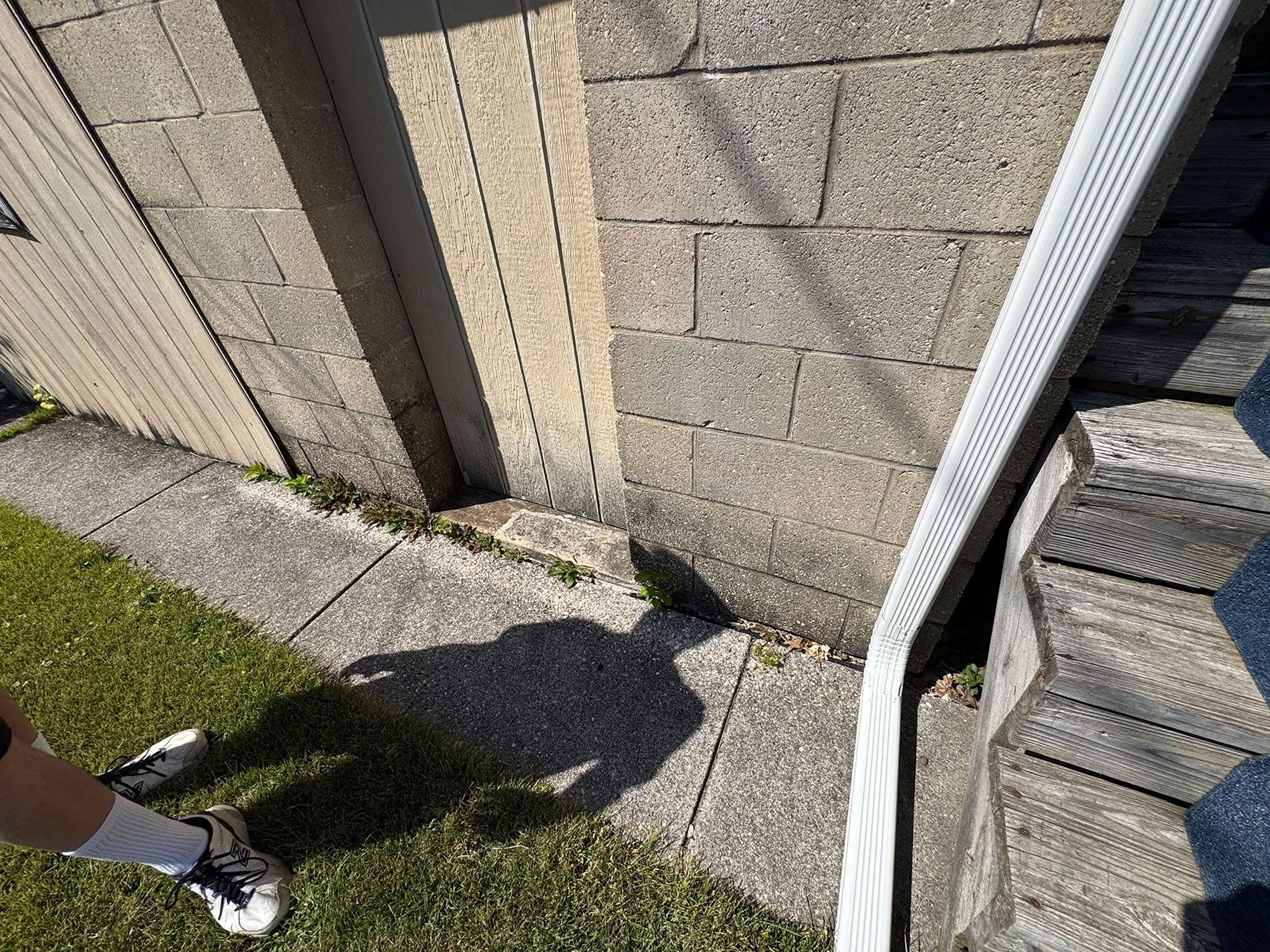 Person's shadow on a concrete wall and walkway next to a gutter; grass is on the left.