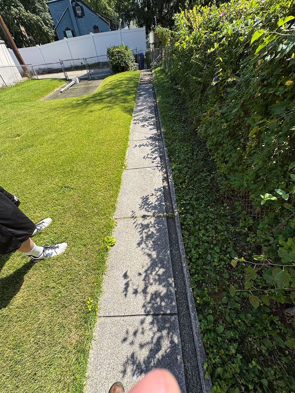Person standing near a concrete pathway next to a green lawn and hedge, in an outdoor setting.