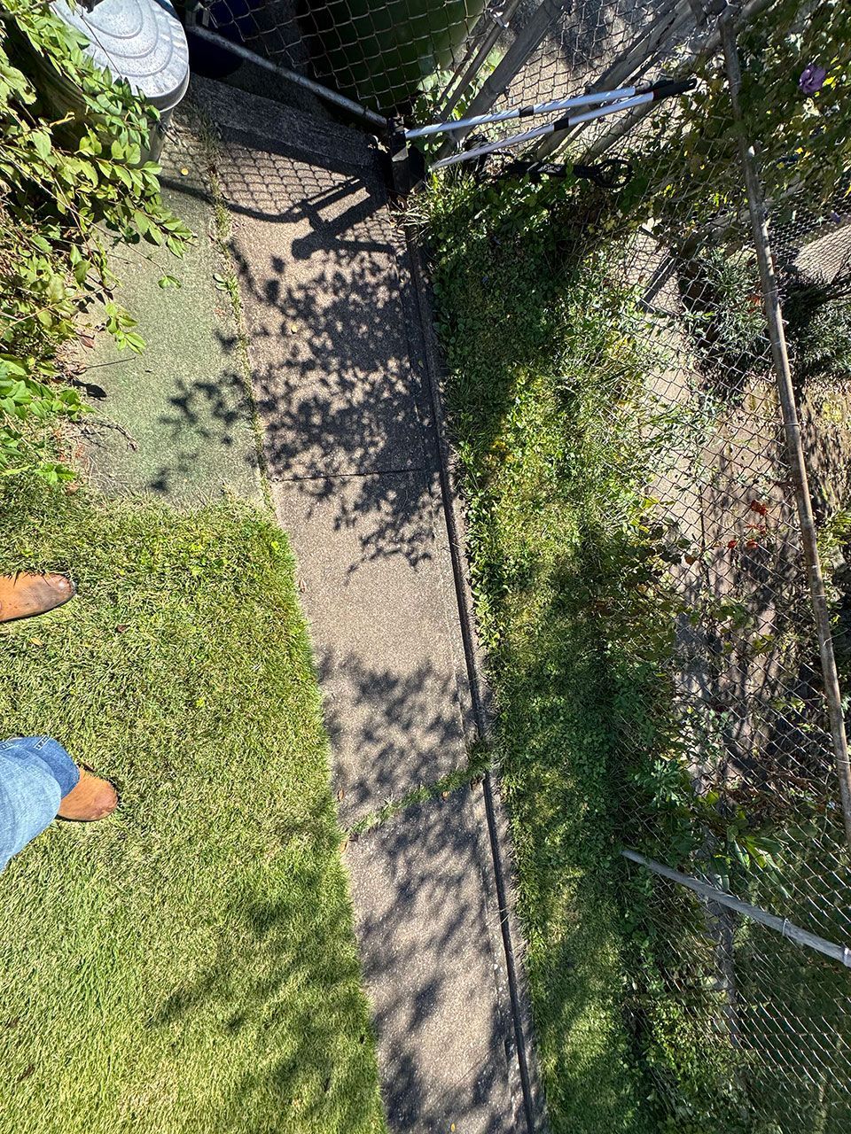 Overhead view of a grassy lawn with a pathway along a chain-link fence, a person's feet and legs visible.