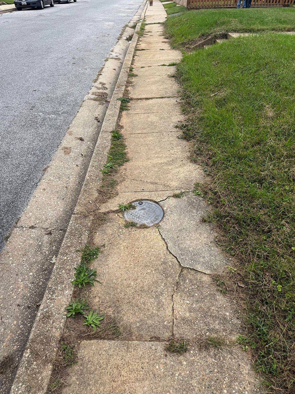 Sidewalk with weeds growing in cracks and along the edges, next to a street and grassy area.