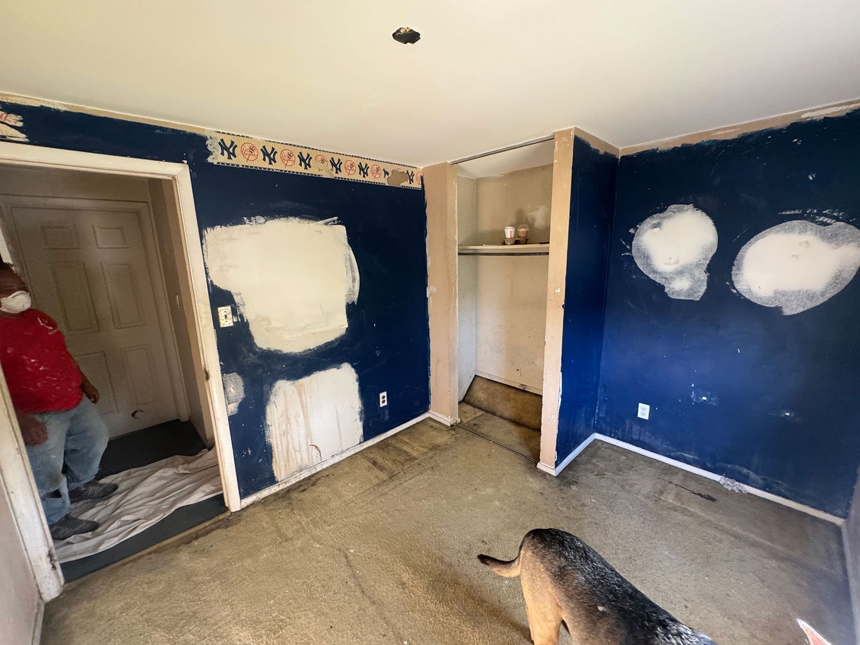 Room interior with blue walls, patches of white filler, a closet, and a person in a red shirt near a doorway. A dog is in the foreground.