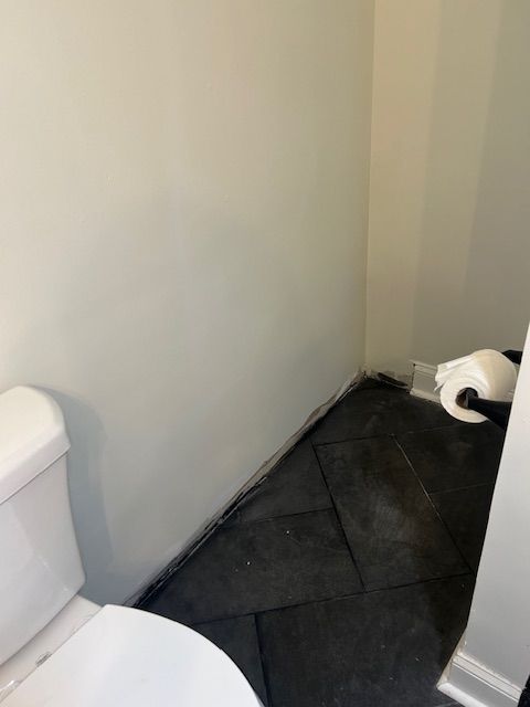 A toilet and a roll of toilet paper in a bathroom