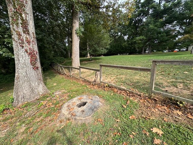 Tree stump in a grassy area, a wooden fence, and trees in the background. Overcast sky.