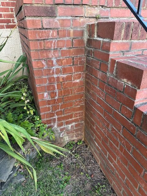 Red brick steps and wall with white efflorescence, surrounded by greenery.