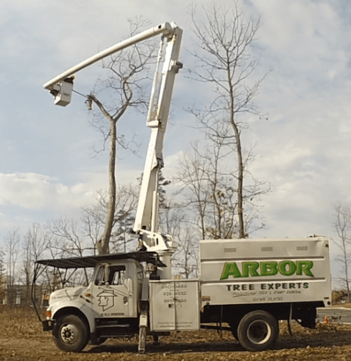 Arbor Tree Experts Tree Removal Equipment Jackson Nj