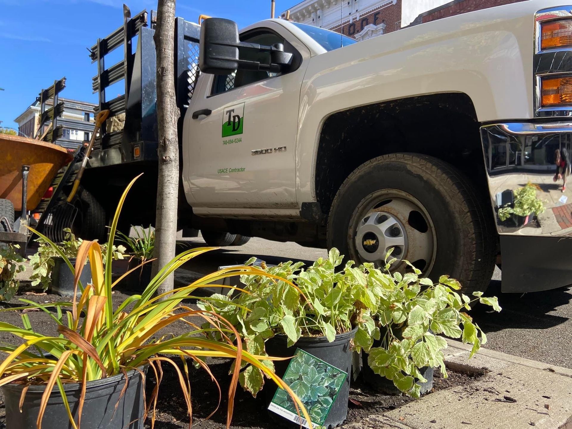 A white truck is parked on the side of the road next to potted plants.