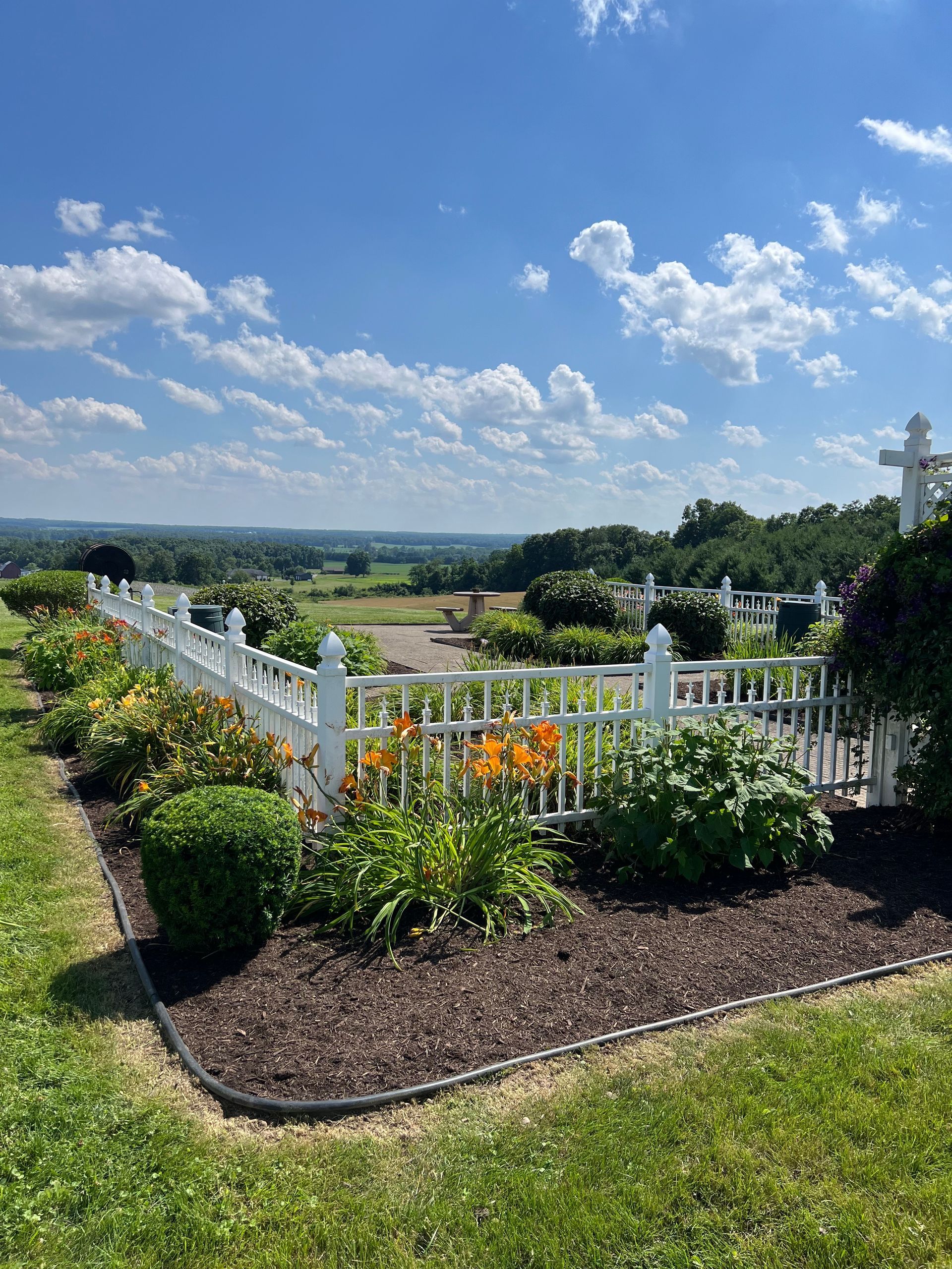 A white picket fence surrounds a garden with flowers and bushes.