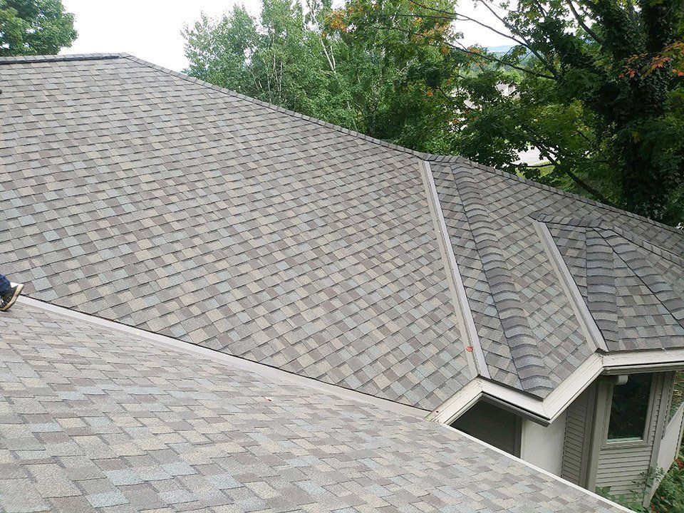 Gray asphalt shingle roof on a house, with a tree background.