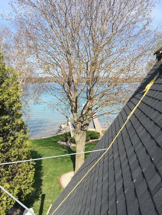 View from a roof of a lake with a tree in the center and green lawn.