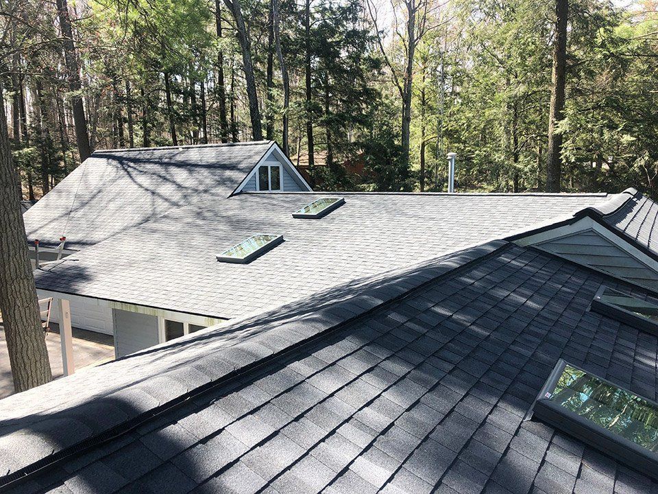 Dark gray shingled roof with skylights against a backdrop of green trees.