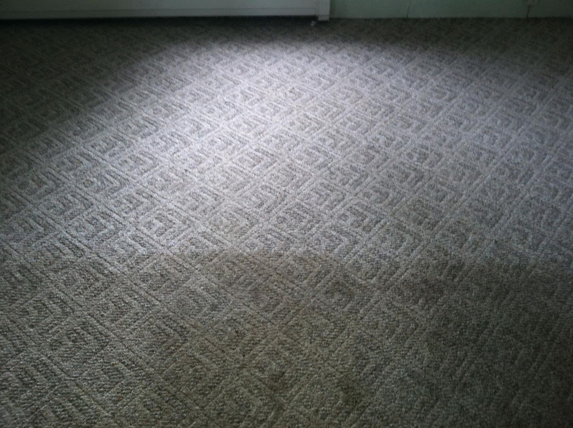 A close up of a carpeted floor in a room
